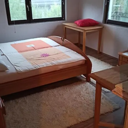 Villa Kuca Na Selu Sa Bazenom Stitar