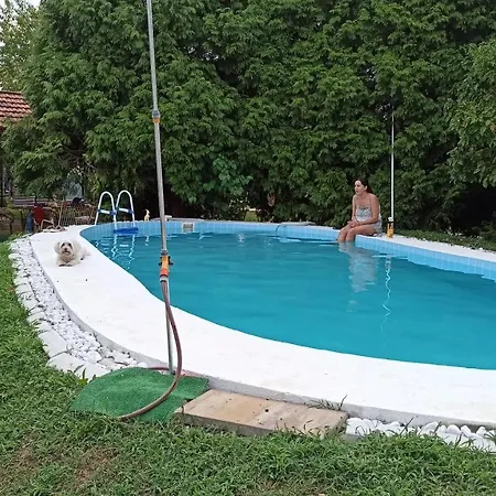 Villa Kuca Na Selu Sa Bazenom Stitar